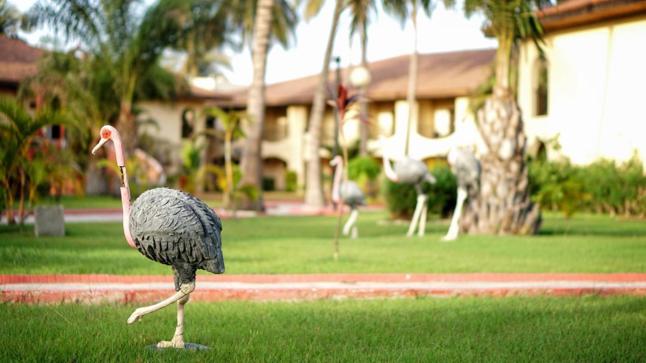Ocean Bay Hotel & Resort Bakau Екстер'єр фото
